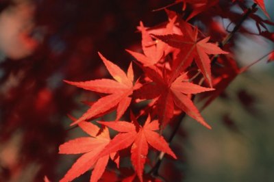 “太行浩气传千古”《猜一人名》