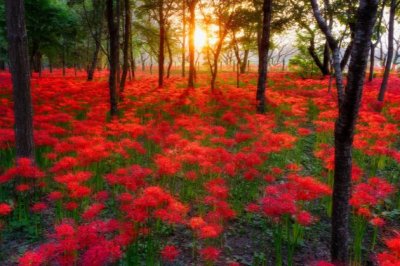 镇压暴乱 《金庸小说人物》