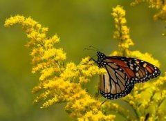 彤《猜一数学词语》