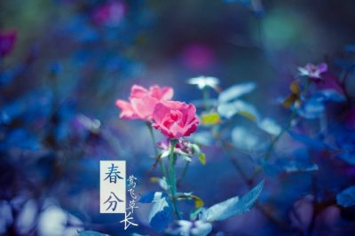 一共二十一人到国外 《科技名词》