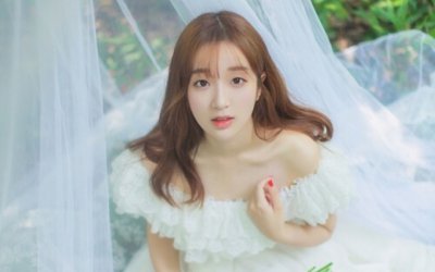 藏匿也须生活_开始独自藏匿也只有半月-　《猜十字常言》