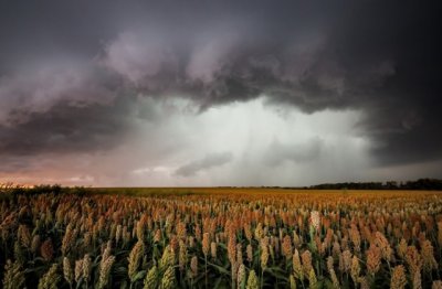 猜谜语题目:零存整取《打一个成语》