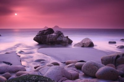 望断帆影偏无人_思向陌头结同心《猜一动物名》