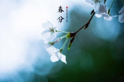“光披遐荒” 《环保词语一》