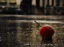 此风主损一大将 《骊珠》