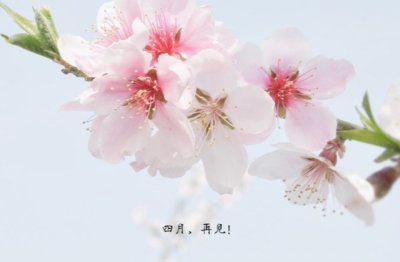 小解两毛 《成语_遥对》