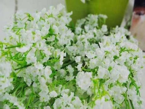 学狗坐,没狗高,又没耳朵又没毛《打一个动物》