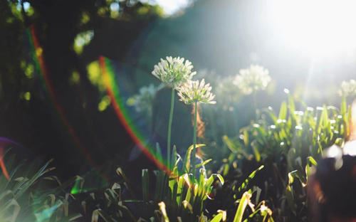行军一百二十里_三番两次挺进敌区《猜一数学词语》