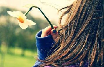 鹦鹉前头不敢言《猜一动物名》