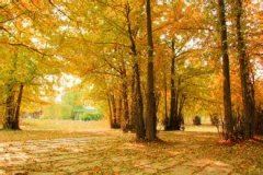 地中海《猜一地理词语》