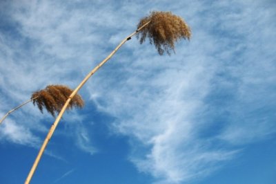不面熟人办事难 《环保词语一》