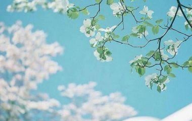 买一双高级女皮鞋要214元5角6分钱_请问买一只要多少钱？