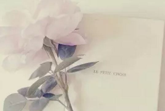 坐车规则《猜一数学词语》