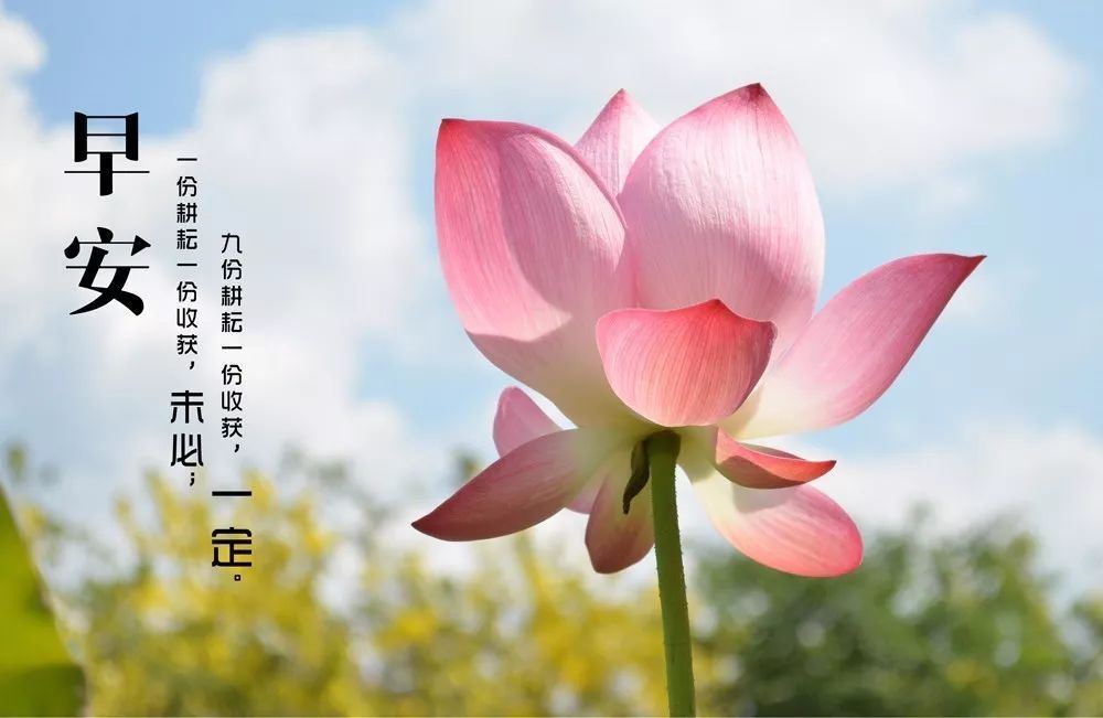 猜谜语题目:目字加两点,别做贝字猜《打一个字》