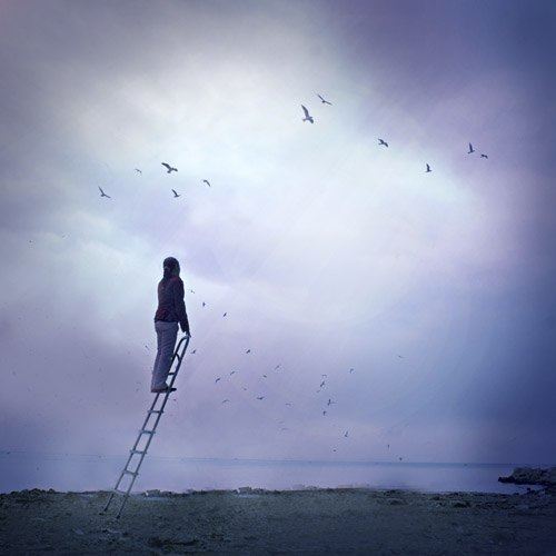 夜袭敌后半城空 《影目》