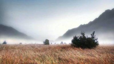 春穿绿衣秋黄袍_头儿弯弯垂珠宝_从幼到老难离水_不洗澡来只泡脚《猜一植物》