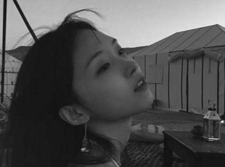 他们相恋于世界之窗 《五字宋词三百一句》