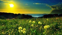 风助火来火连火 《打一字》