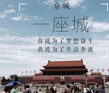 上疏《猜一动物名》