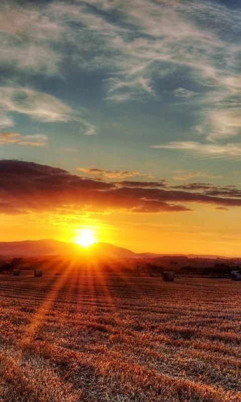 天边走来了小小的我 《书信用语》