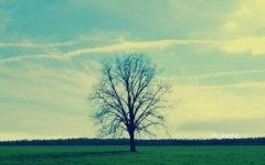 李白乘舟将欲行《猜一数学词语》