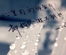 口若悬河为哪般 《红楼梦人物》