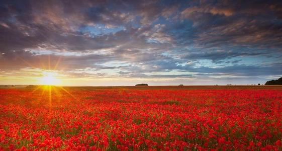 游子身上衣《猜一数学词语》