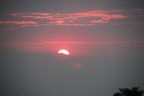 “王果去墙数步_奔而入_回视_果在墙外也” 《市招》