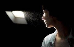 牡丹梧桐争迎客 《泊人二》