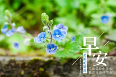 擒纵数度孟获归《猜一数学词语》