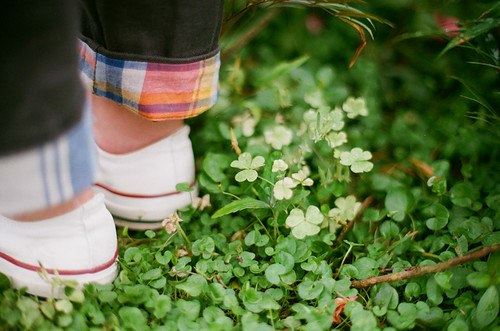 初登大宝 《围棋头衔》