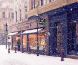 猜谜语题目:三省吾身《打一个中药名》