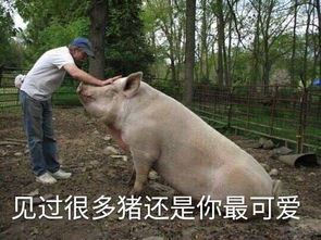 昔日有难_八方支援 《九画单字》