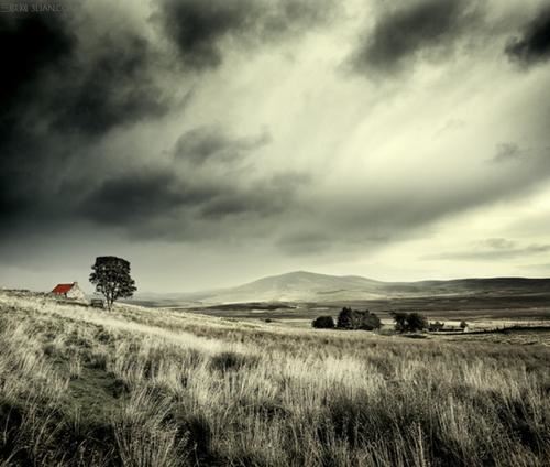 猜谜语题目:一路顺风到山东《打一个人名》