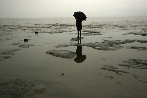 十分奇怪《猜一数学词语》