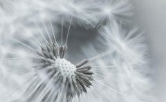 乐观　《猜成语》