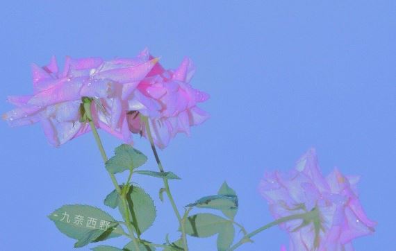 原先名声大　秋千《猜外影星》