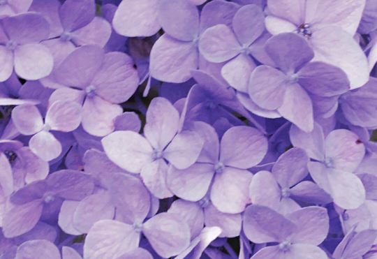 加时赛《猜一数学词语》