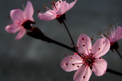 重点在人后来居上 《打一字》