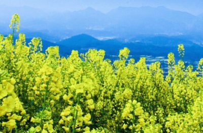 还将两行泪《猜一地理词语》