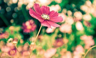 老大下了捕鱼令 《处所》