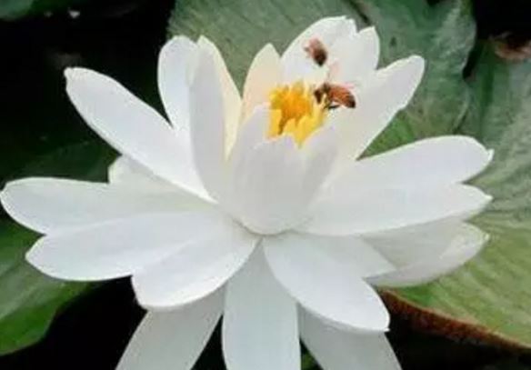 在左侧先后画两个正方形和椭圆 《泊人_3字》