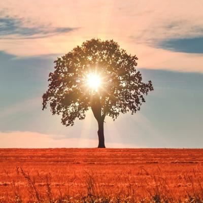 春水依依人流连　《猜14笔字》