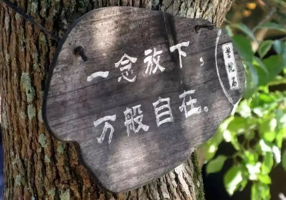 新娘逃婚 《三口》