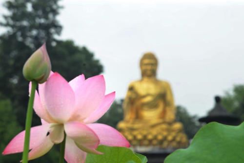 “千村薜荔人遗失” 《环保词语二》