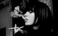 离别山东三十载《猜一动物名》