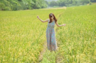 小姑娘_夜纳凉-带灯笼_闪闪亮-《猜一动物》