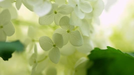 万里赴戎机《猜一灯谜用语》