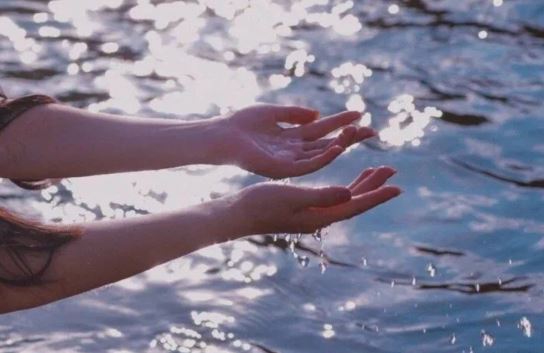 胡子虽长岁数小_春夏秋冬穿皮袄_漫山遍野吃青草_拉的到处是黑枣-　《猜家畜