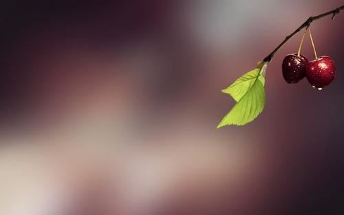 由《猜一动物名》